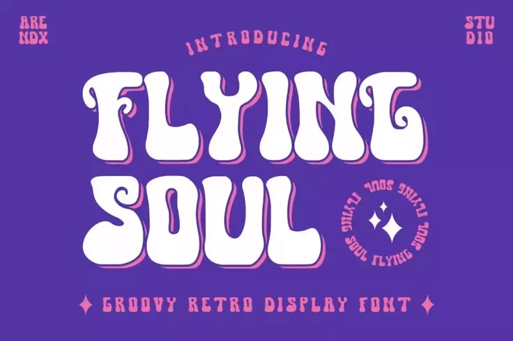 View Information about Flying Soul Groovy Retro 70s Font