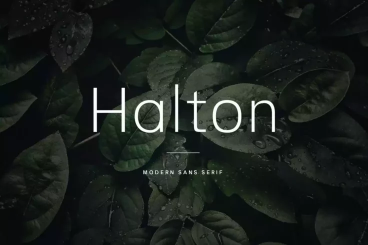 View Information about Halton Clean Sans Serif Font